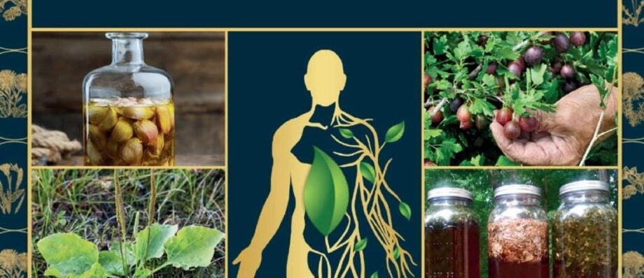 The Holistic Guide to Wellness : Herbal Protocols for Common Ailments