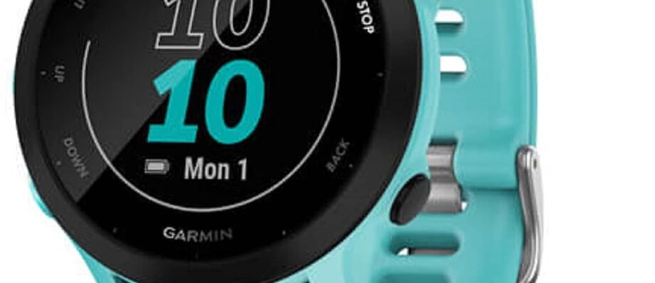 Garmin Forerunner 55, GPS Running Watch with Daily Suggested Workouts, Up to 2 weeks of Battery Life, Aqua