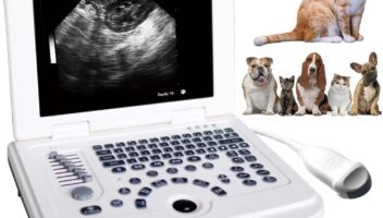 Portable Ultrasound Machine Laptop Vet Ultrasound Scanner with 6.5Mhz Micro Convex Probe for Pregnancy Pet,Rabbits,Sheep,Dogs,Cats,Small Animals