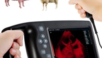 J1 Vet Ultrasound Machine Portable Veterinary Handheld Scanner B-Ultra Sound with 3.5MHz Probe for Pregnancy Pig,Sheep,Dog use