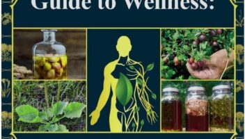 The Holistic Guide to Wellness Book The Lost Book of Herbal Remedies Holistic Herbal Protocol Book Herbal Remedies Book Herbal Protocols for Common Ailments Herbal Medicine Book Herbal Medicine Book