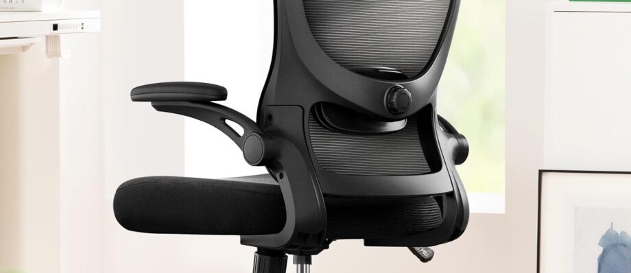 Marsail Ergonomic Office Chair: Office Computer Desk Chair with High Back Mesh and Adjustable Lumbar Support Rolling Work Swivel Task Chairs with Wheel 3D Armrests and Headrest