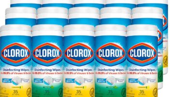 Clorox Disinfecting Wipes Value Pack, Cleaning Wipes, 35 Count Each, Pack of 15 (Package May Vary)