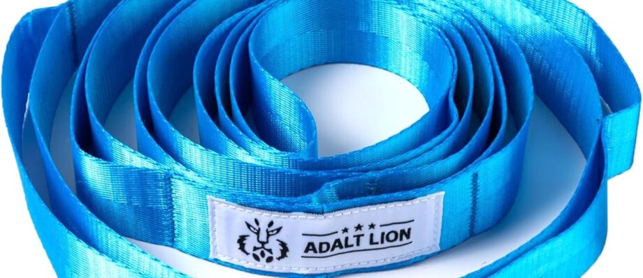 Stretching Strap with 10 Loops, Yoga Straps for Stretching Physical Therapy Equipment, Non-elastic Stretch Strap for Exercise, Pilates, Dance, Gymnastics and Flexibility - Fascia