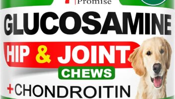 Glucosamine for Dogs - Hip and Joint Supplement for Dogs - Glucosamine Chondroitin for Dogs - Dog Joint Pain Relief - MSM - Hemp Oil - Advanced Support Dog Joint Supplement Health - 120 Mobility Chews